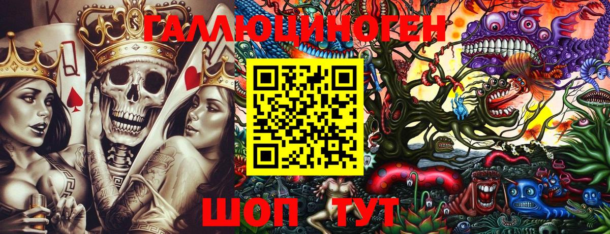 где купить наркоту  Вход с VPN  Ярославль  Галлюциногенные грибы MAGIC MUSHROOMS 